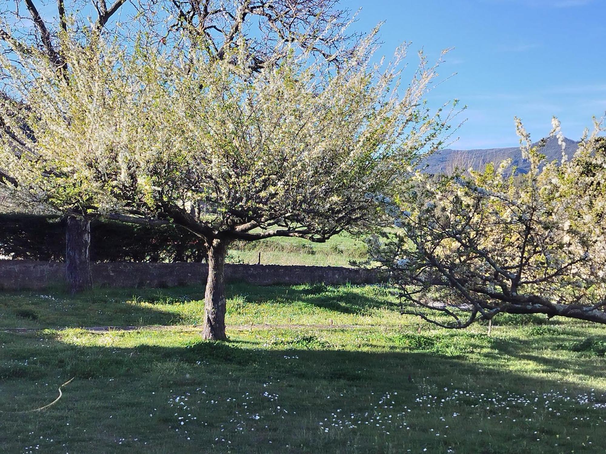 Finca Arep Alquiler Integro 6 Les Planes Les Planes d'Hostoles Exterior foto